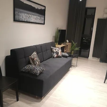 Apartment Easy Rent - Business Center 41